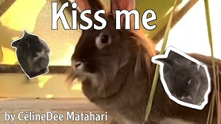Kiss me - Music Video ( CélineDee Matahari)