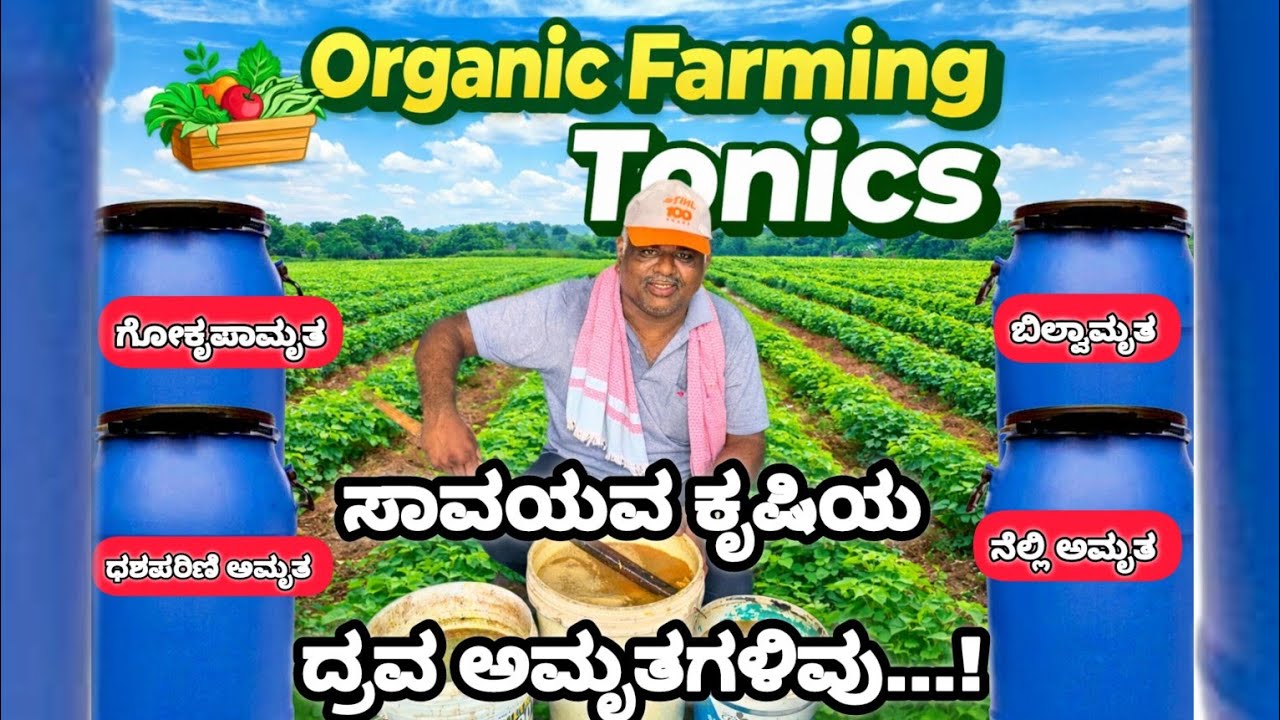 ಸಾವಯವ ಕೃಷಿಯ ದ್ರವ ಅಮೃತಗಳಿವು..! Organic Farming Tonics.