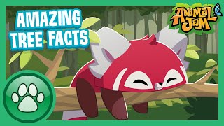 Appondale Theater Presents Tree Talk: Amazing Tree Facts | Animal Jam screenshot 5