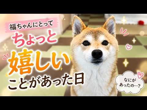 Something happened that just made me so happy - YouTube