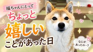 思わず嬉しくなった出来事がありました