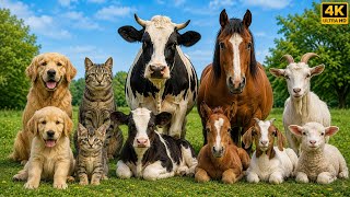 Animal Names with Their Babies & Sounds 🐶🐱 | Learn Animal Baby Names for Kids