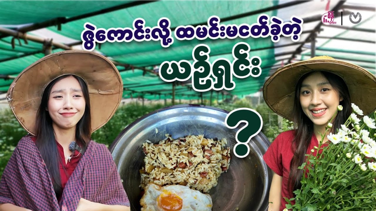 ပန်းအခက်  တစ်ရာကျော်နဲ့ သူမ၏ Mission