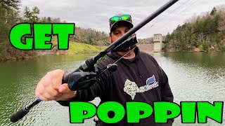 TopWater for ALL Stages of the Spawn