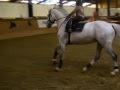 Unbelievable you have to see this by wwwpremiumhorsesde