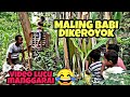 Maling babi dipukul babak belur lucu anak manggarai