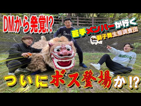 [Lion's Ecology 3] Discovered through DM!? The boss finally appears!? Young members go on a lion ...