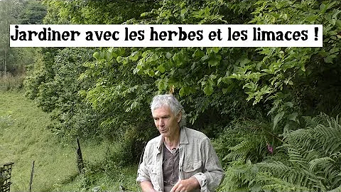 Le potager de Bernard Bertrand (avec herbes, limac...