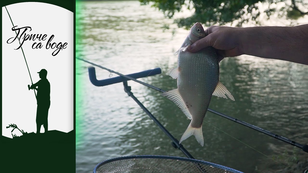 Priče sa vode ep. 53 06.10.2020. Tanak predvez i mala udica, Dunav, Smederevo