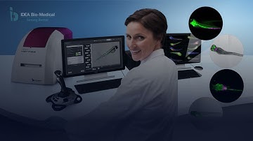 Revolutionary AI-based analysis for Zebrafish imaging with Athena software