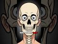 What If Your Body Forgot Time? #insomnia #humanbody