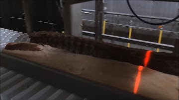 Frontmatec Pork Solutions | American Loin Puller