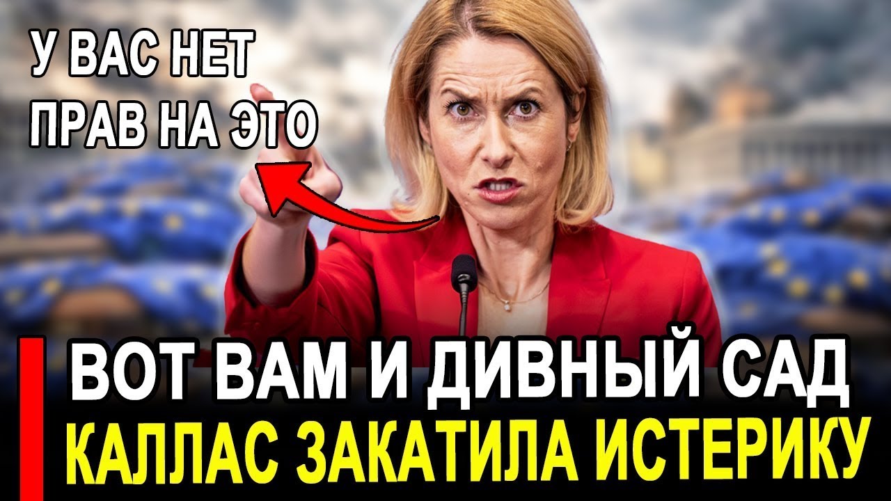 Это произошло.. Сегодня утром 17-Декабря.. Каллас СЛИЛА всех! Европа в УЖАСЕ от этого признания