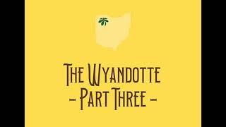 The Wyandotte (Part Three)