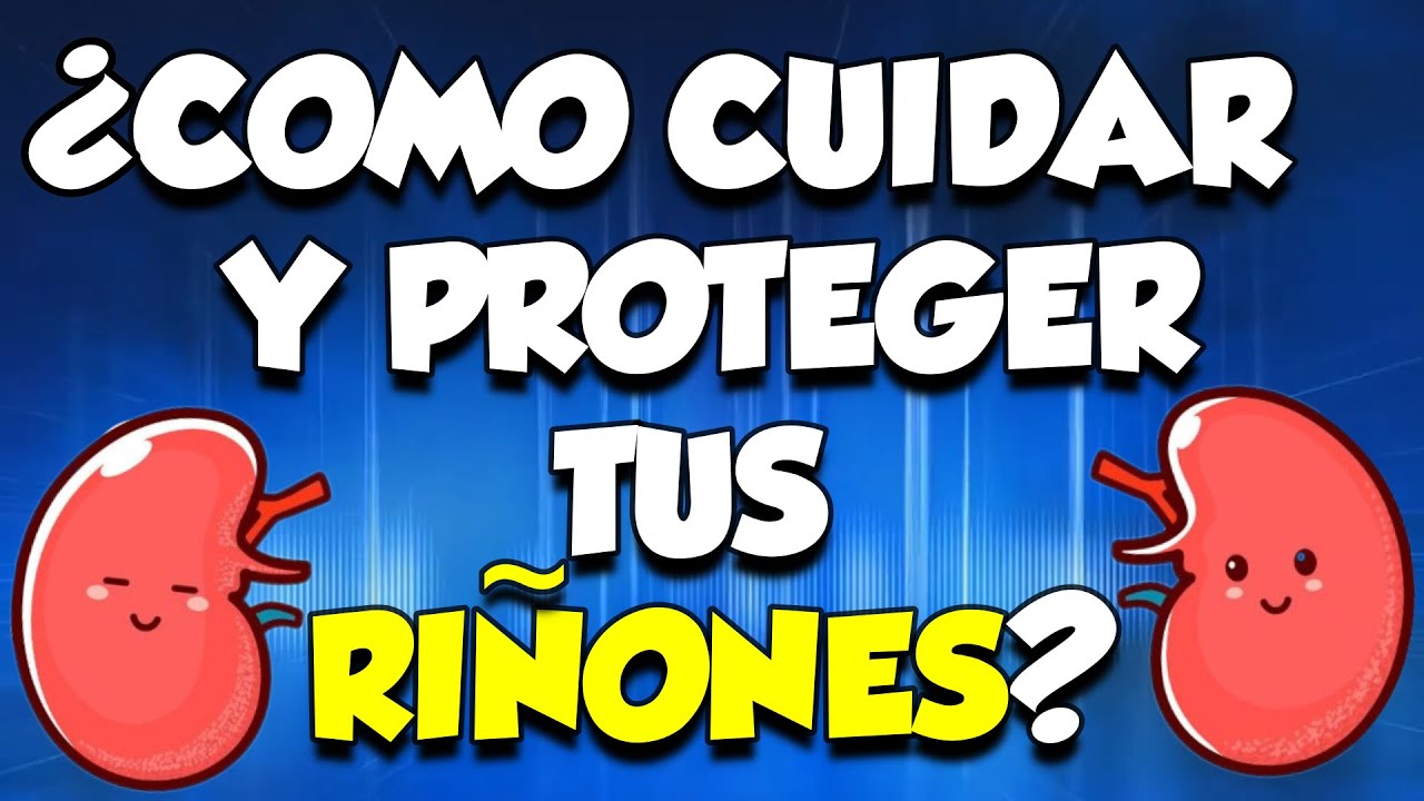 ¿COMO CUIDAR Y PROTEGER TUS RIÑONES? | NUTRICION ORTOMOLECULAR | CAP ...
