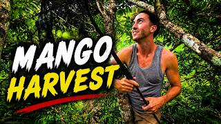 I Spent the Night on a Farm in the Philippines