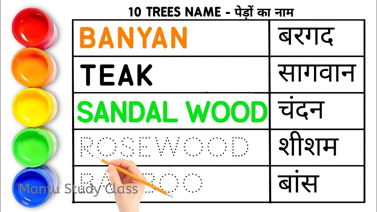 10 Trees Name In English And Hindi Trees Name In 10-trees-name-in-english-and-hindi-trees-name-in
