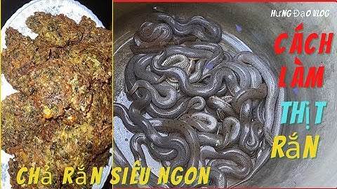 Hưng Đạo Vlog. Chia Sẻ Cách Làm Thịt Rắn Và Cách Chế Biến Món Chả Rắn Đơn Giản Siêu Ngon Hấp Dẫn