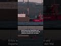 Rettung für Wal #Timmy: Riskante Mission in der Ostsee