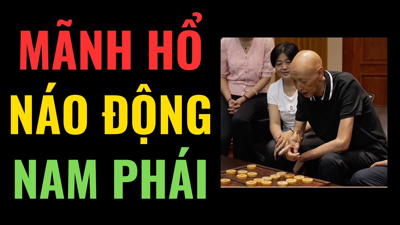 Kiệt tác pháo mã tung hoành náo động Nam phương của Vương Gia Lương đại sư