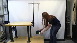 3A10.30 - Torsion Pendulum