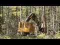 Forest harvest methods restoration thinning