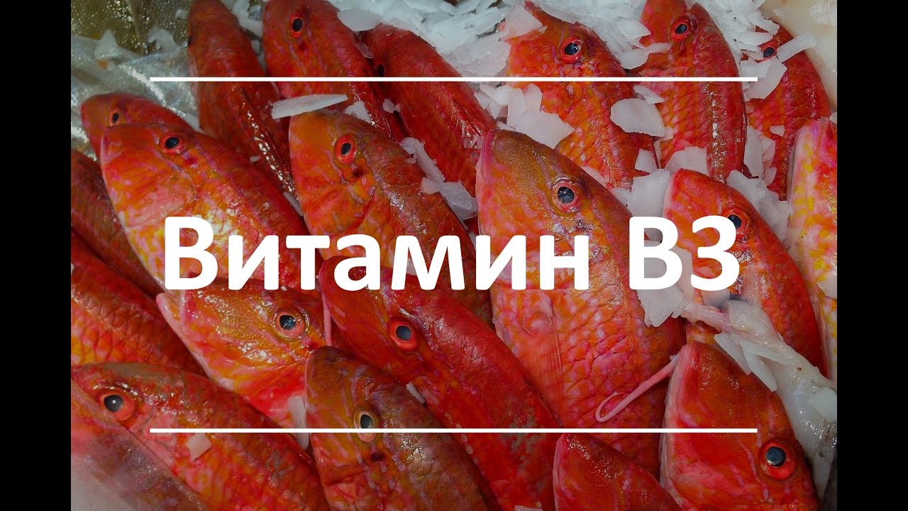 Витамин В3 (Ниацин) - польза для здоровья, признаки дефицита, пищевые источники