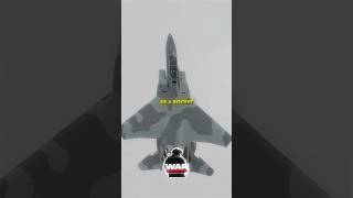 This Jet Has NEVER Been Shot Down 😱
