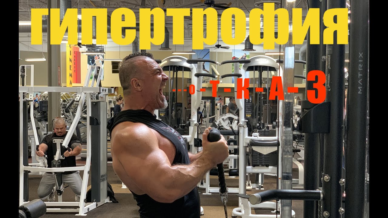 �������� ���������: ����.