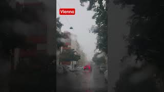 relaxing rain #rain #vienna #relaxing