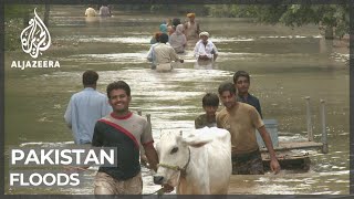 Hundreds killed in weeks of floods in Pakistan
