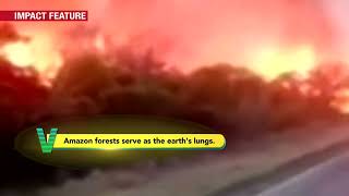 Episode 5 | Vignette 3 | Biodiversity | India Today