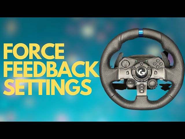 Wheels - Advanced Input (Wheels) Settings reset upon game launch (1593360)  - FM Report New Issues - Official Forza Community Forums