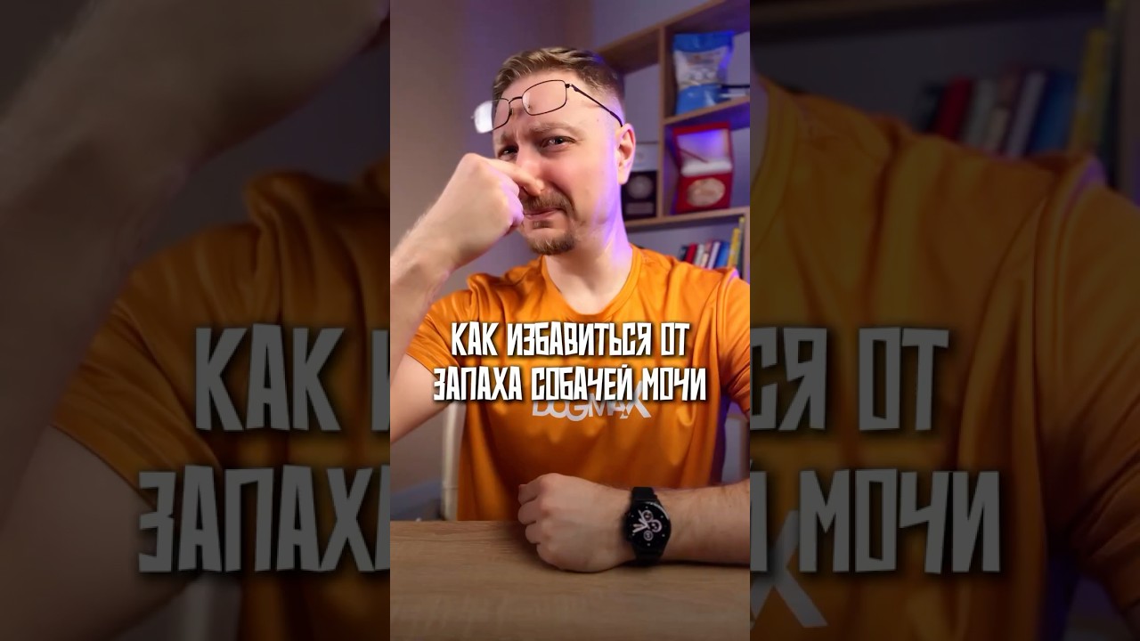 Как избавиться от запаха собачьей мочи?