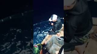 #mancingbadong #mancingbadongpelabuhanratu #mancing