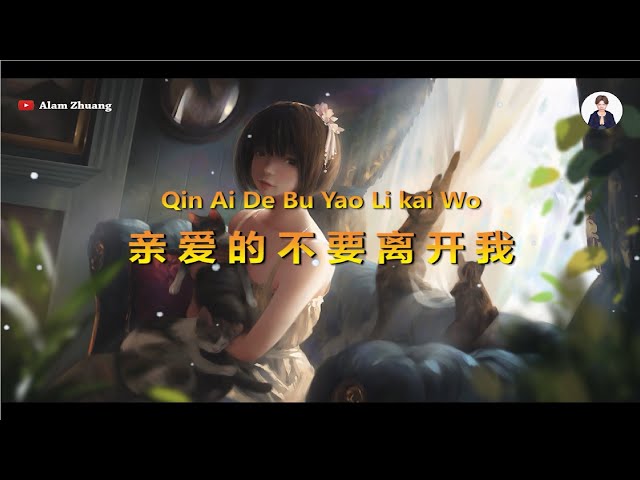 Qin Ai De Bu Yao Li Kai Wo ( 亲爱的不要离开我 ) - Karaoke class=
