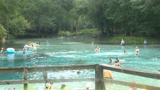 Crews investigating what caused Gilchrist Blue Springs to turn green over the weekend
