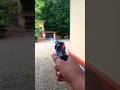 A toy gun that actually shoots?? Cap Gun Pistol #gun #guns #toygun #fyp