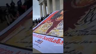 Famous Tina Forte Profile