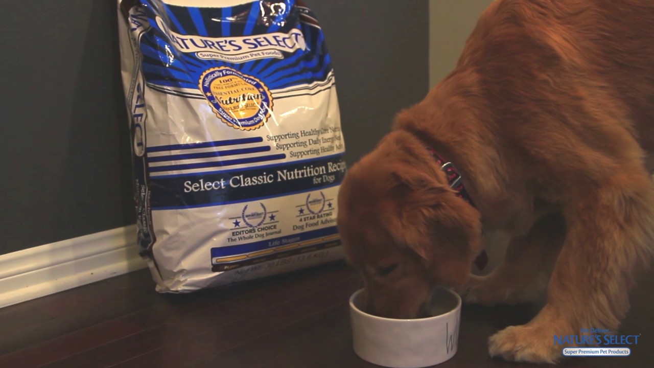 Nature's Select Pet Food of Kansas City YouTube