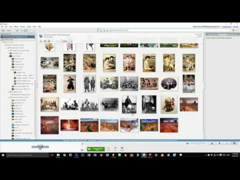 Google Picasa 3 tutorial