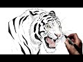 Wie Man Einen Tiger Zeichnet Schritt Für Schritt