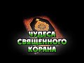 Чудеса Священного Корана