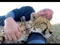 Itchy Scratchy Cheetahs | Big Cats Get Itch Relief Using Rusty Screw &amp; Friend | Scratch Like A Dog