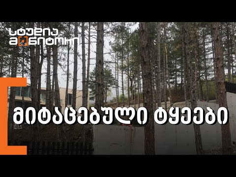 მიტაცებული ტყეები