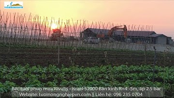 Béc tưới phun mưa Israel S2000, tưới cho rau hữu cơ