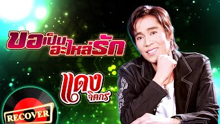 ขอเป็นอะไหล่รัก - แดง จิตกร [OFFICIAL Audio]