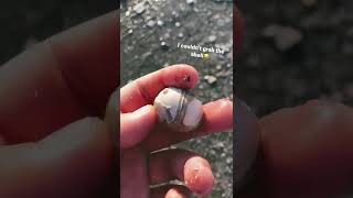 Myrtle Beach Shell I Couldnt Grab It