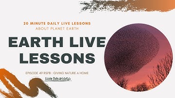 Earth LIVE Lesson with The Wildlife Trust - Nature in Your Garden