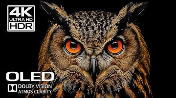 Mind-Blowing 4K Ultra HD  Dolby Vision HDR 60FPS (Cinematic OLED Nature Film)